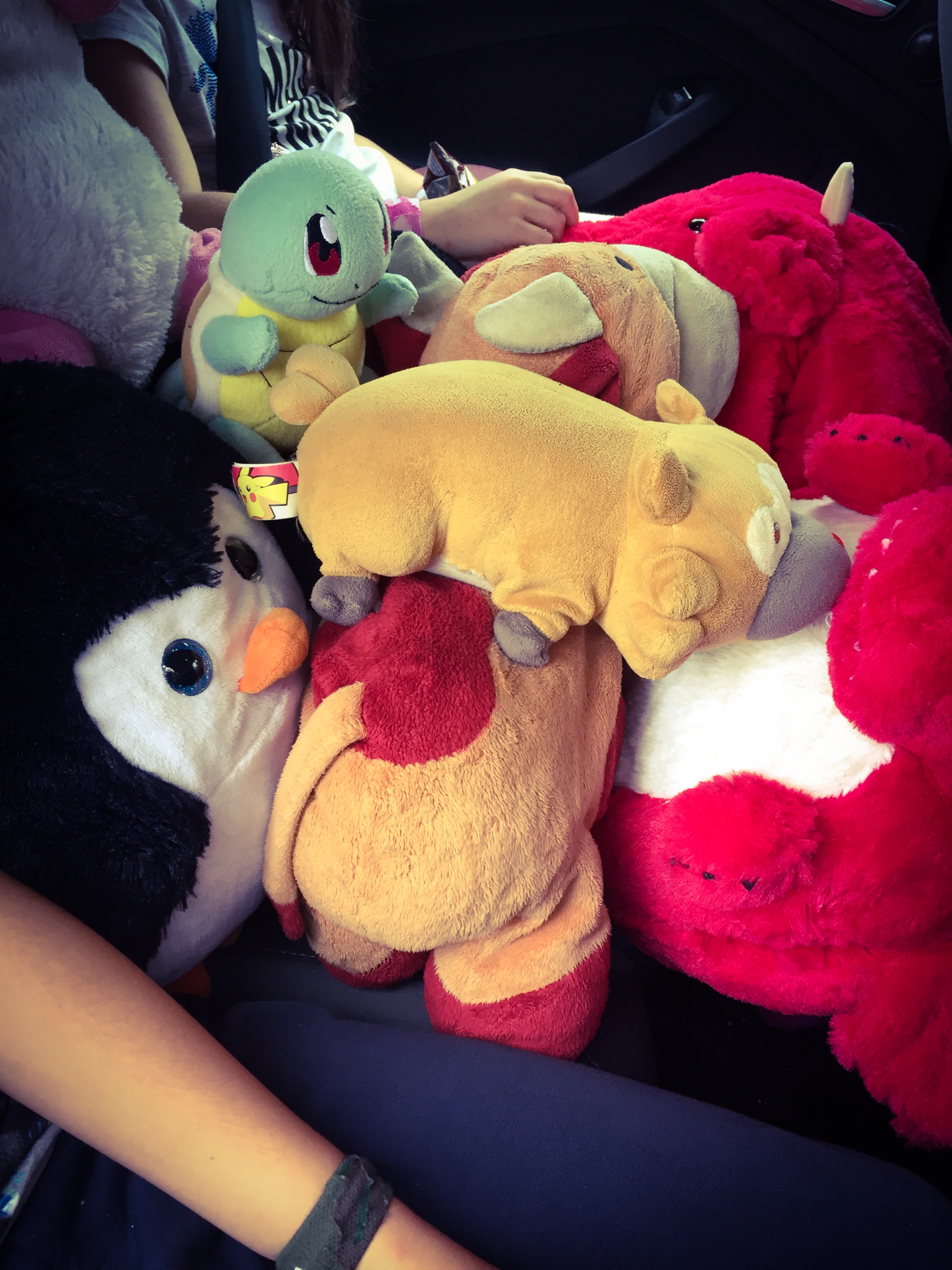Car full of Cuddlies