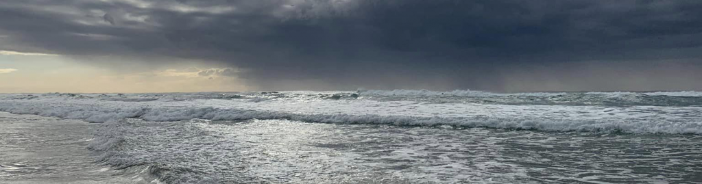 finding our ikigai workkidssleep